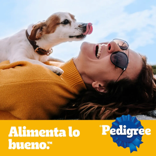 Pedigree Alimento Seco Perro Adulto Carne Pollo Cereal 15kg